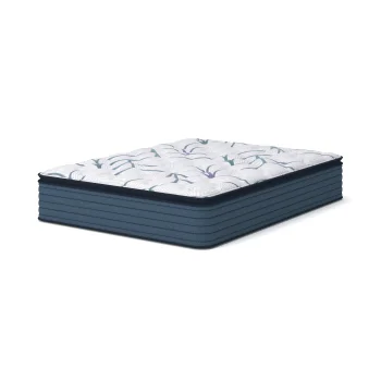 Limited Edition Plush Pillow Top 3.0